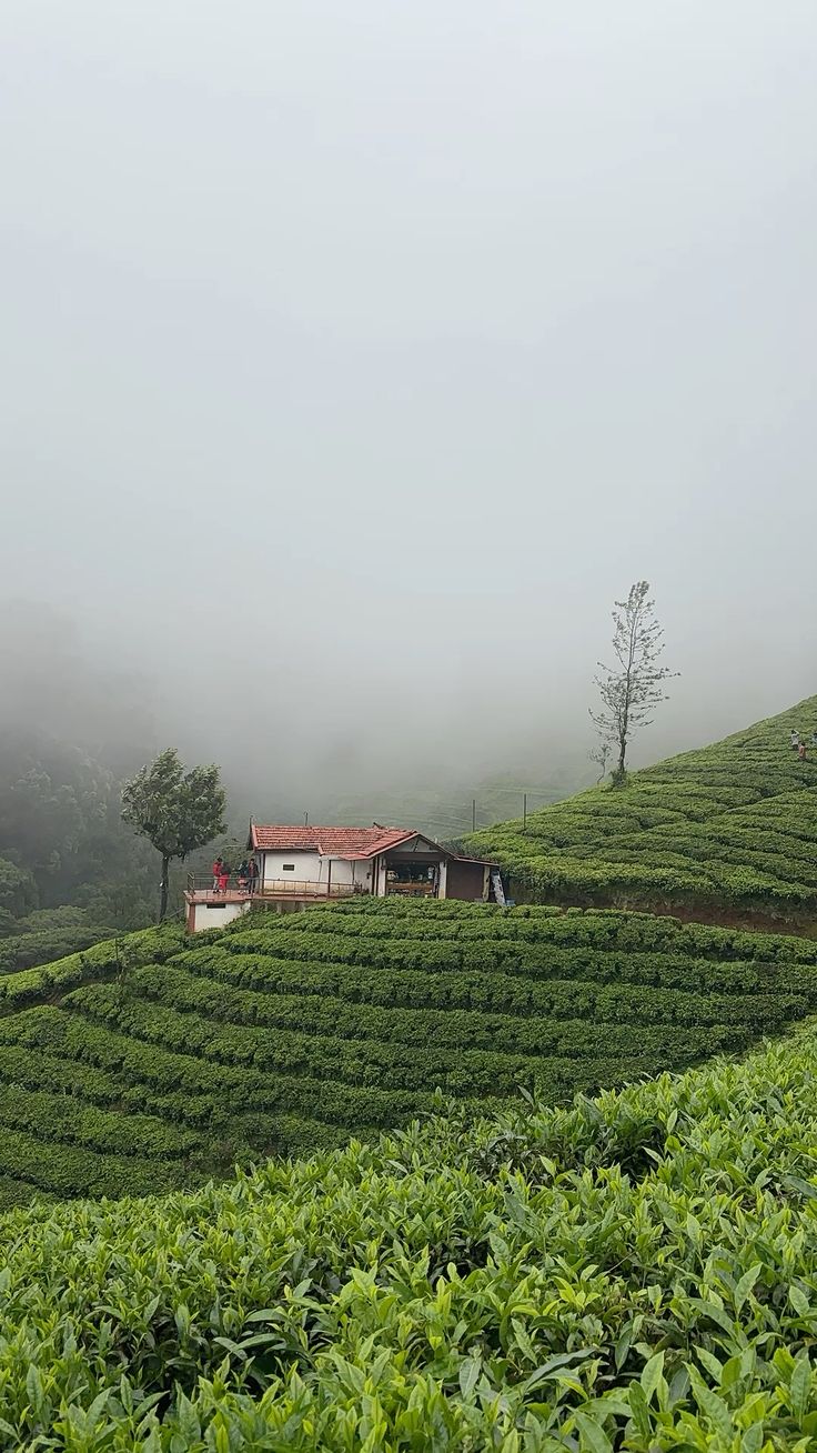 Ooty vs Kodaikanal